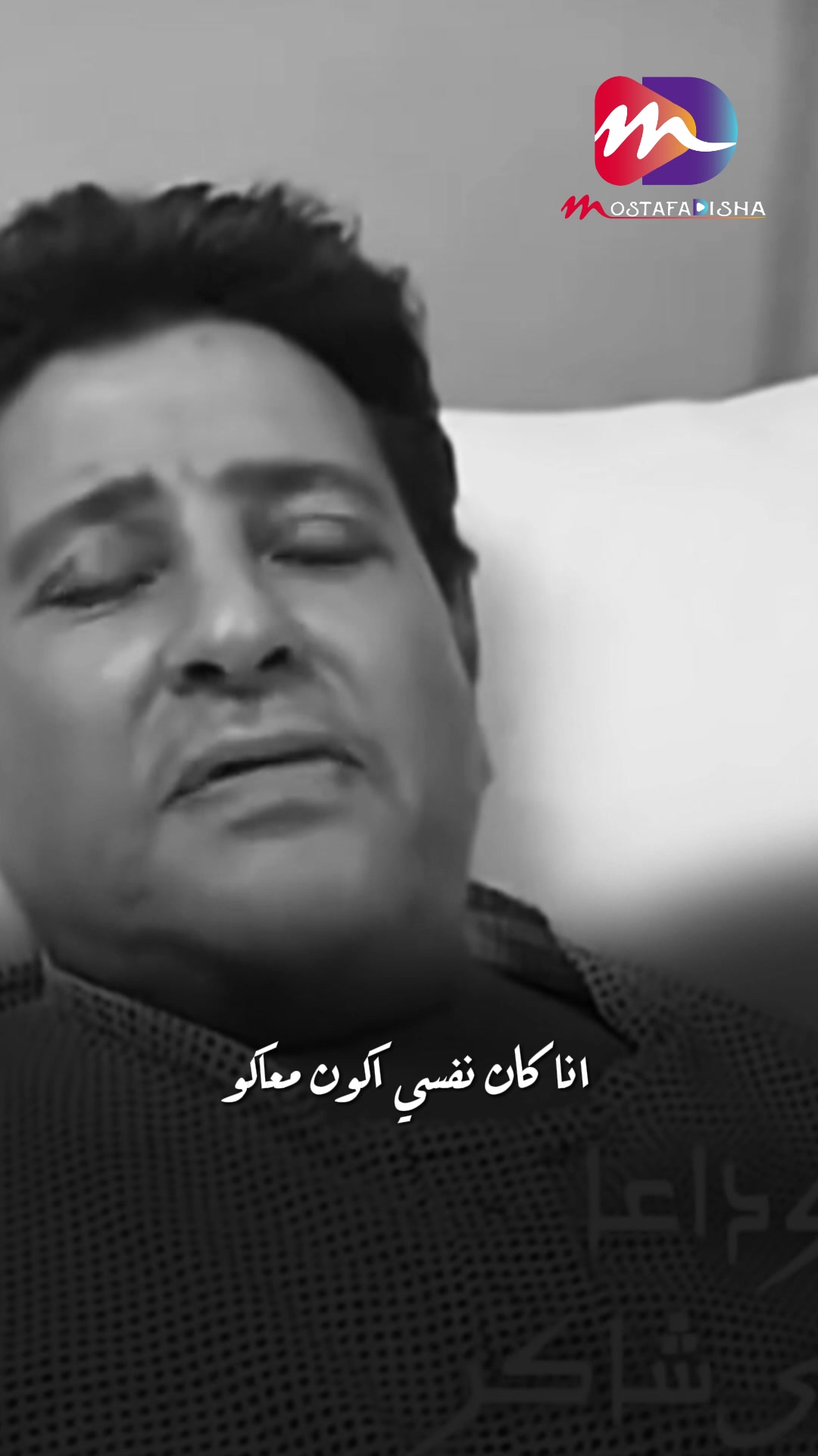 @Mostafa Disha