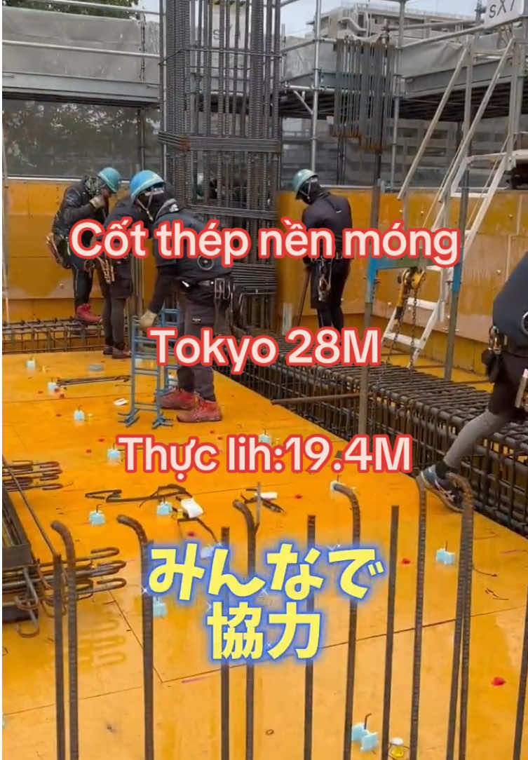 @Lưu Lam