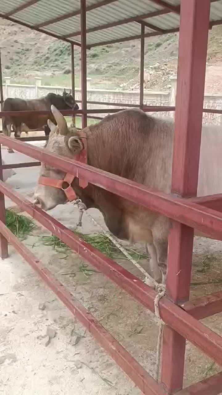 @𝐌 𝐄 𝐇 𝐌 𝐄 𝐓 25