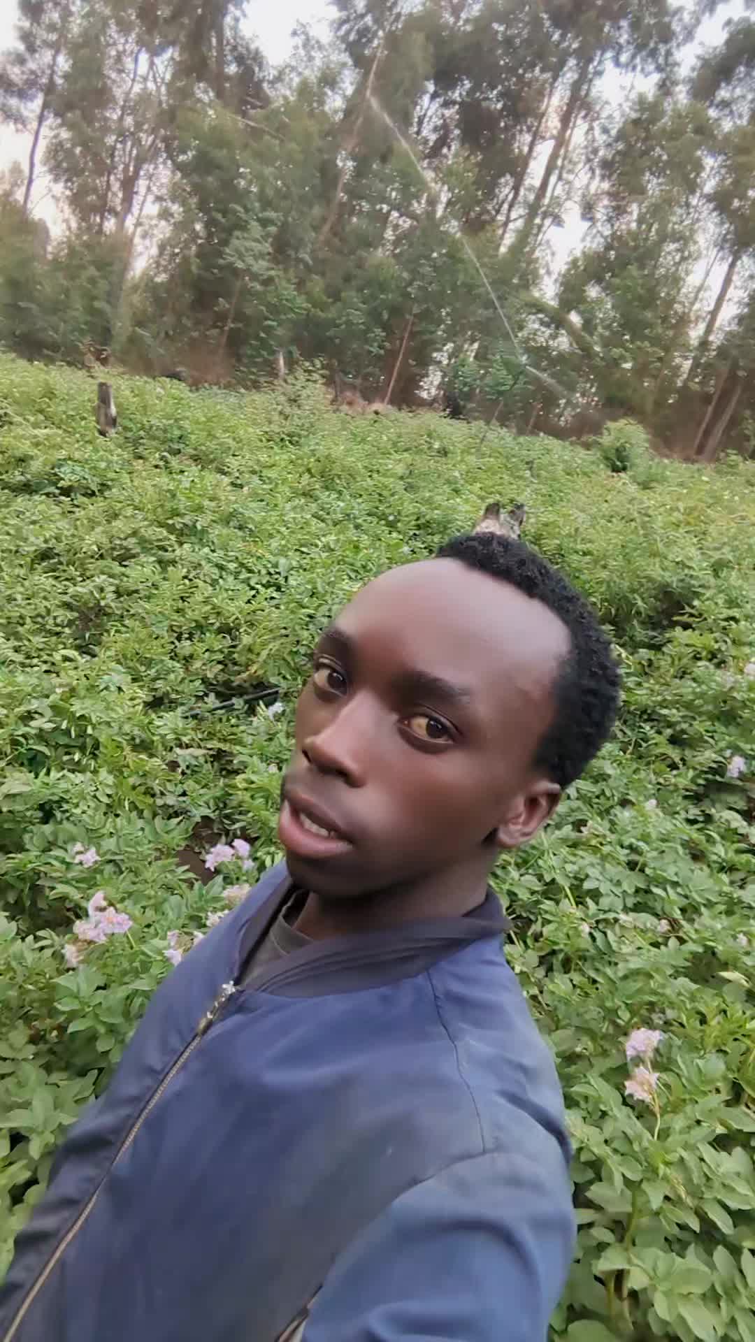 @site tz