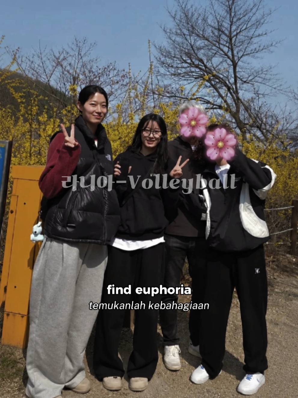 @라니아-Volleyball
