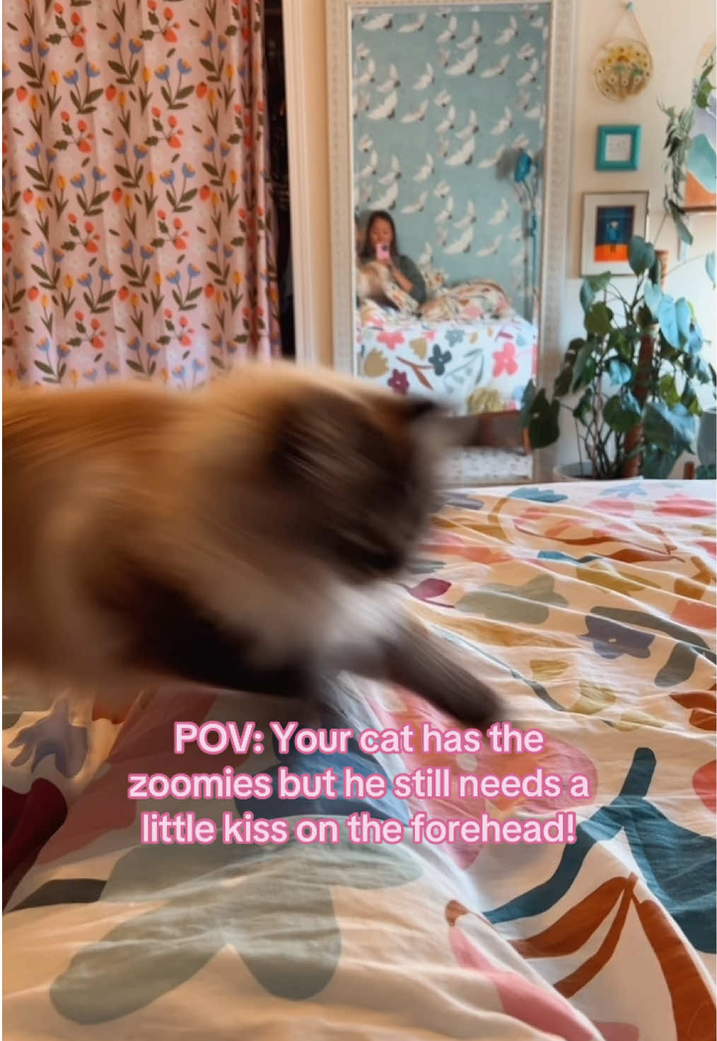 @My Cat Is People 🇨🇦
