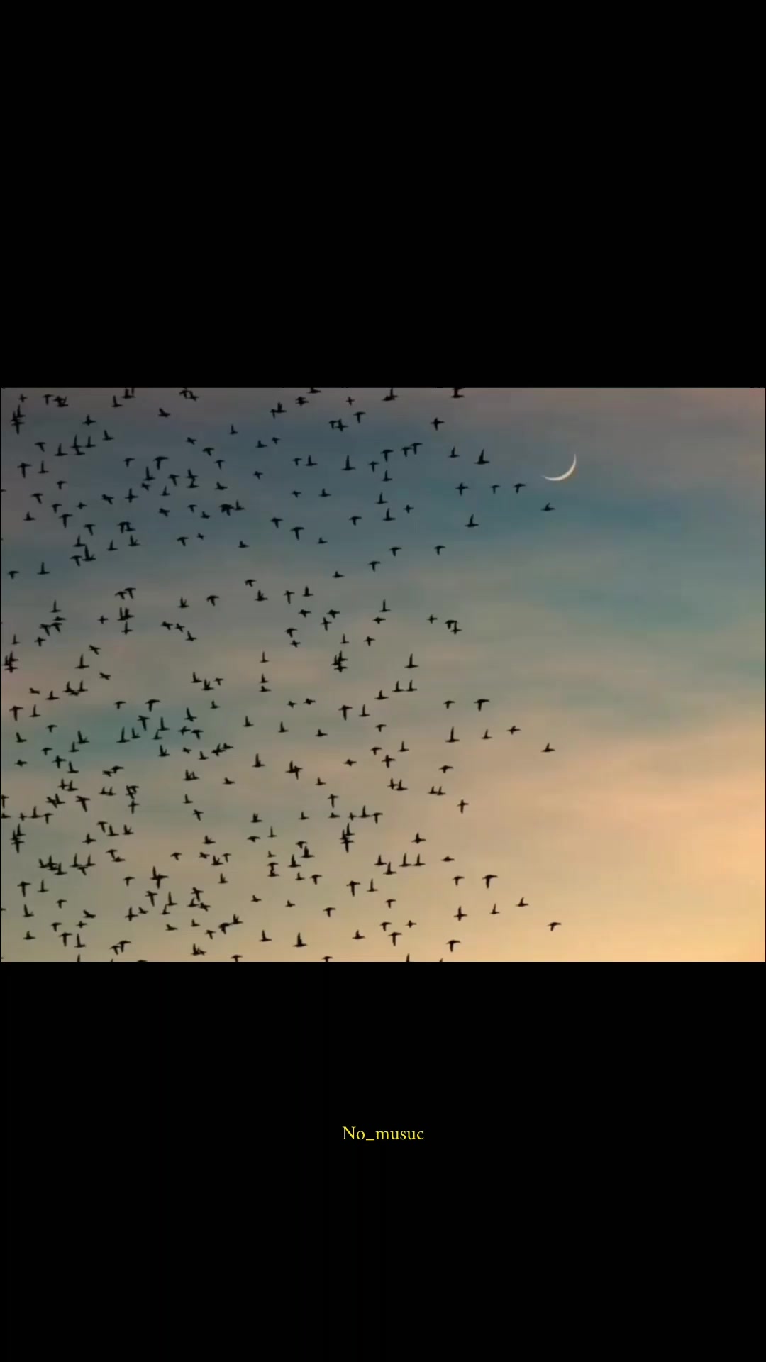 @Arabic Nasheed.!