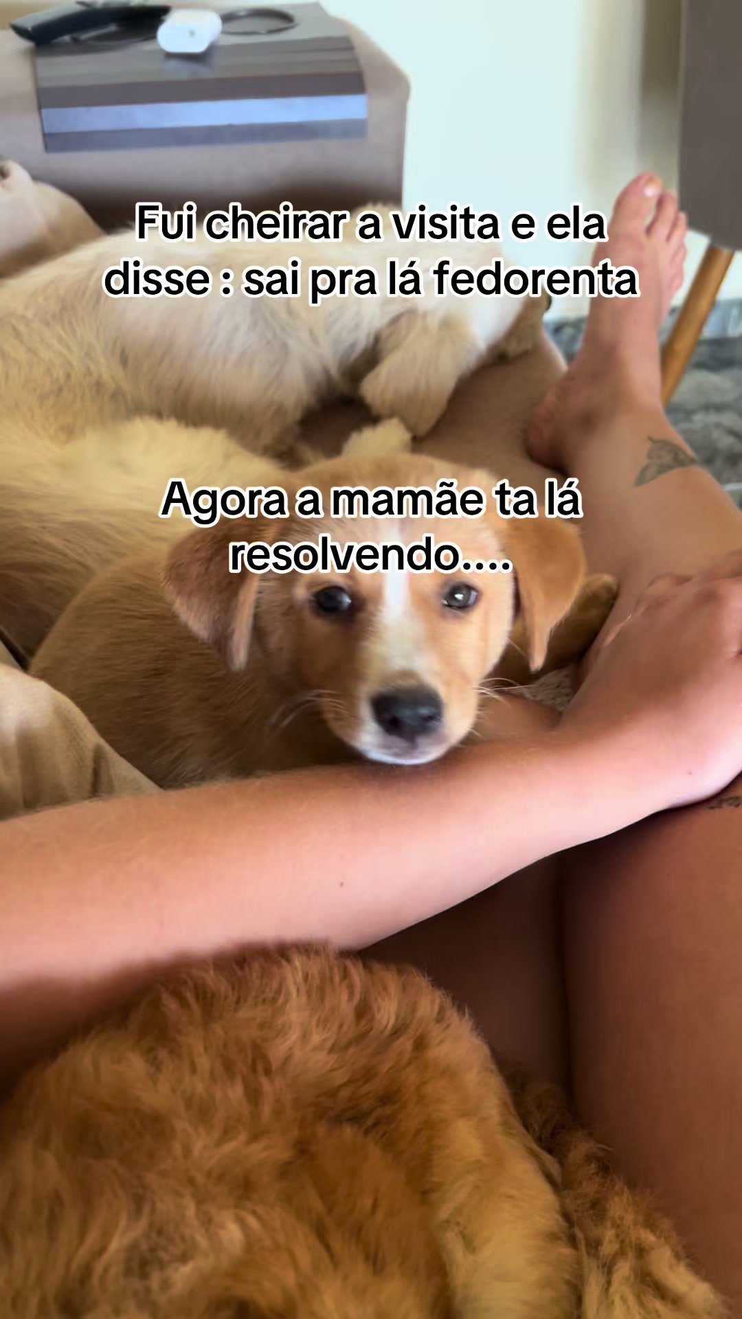 @Franciele Andr&eacute;