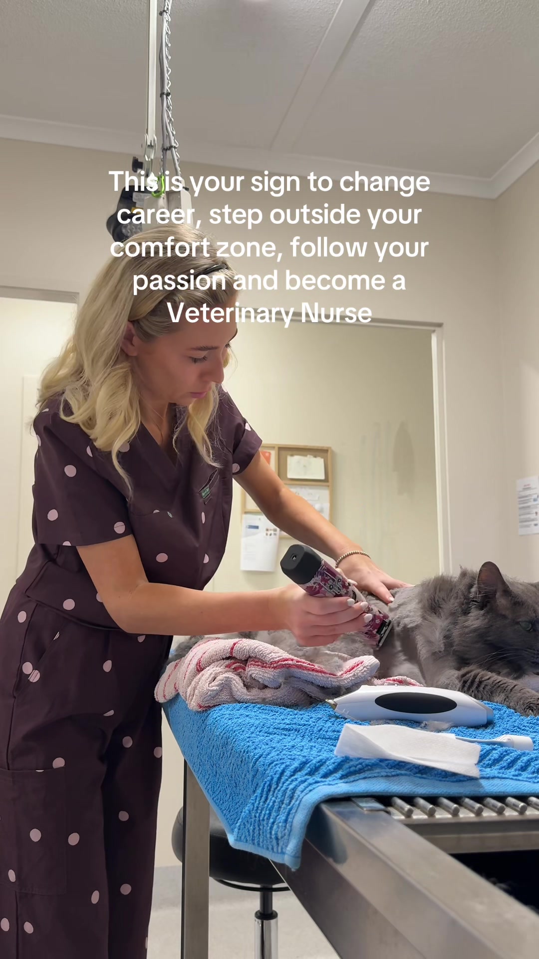 @Tess the Vet Nurse
