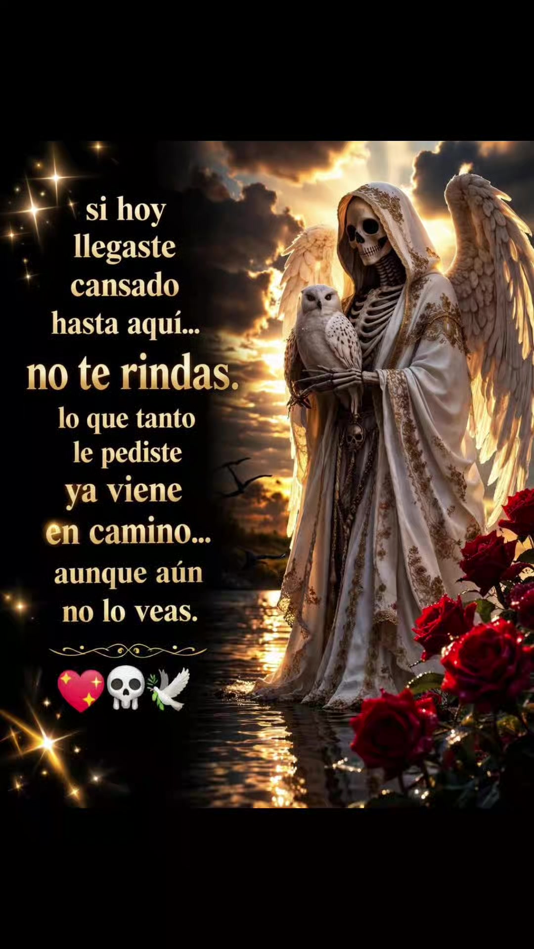 @🌹KR∆KK€π 2∅1🦅😈