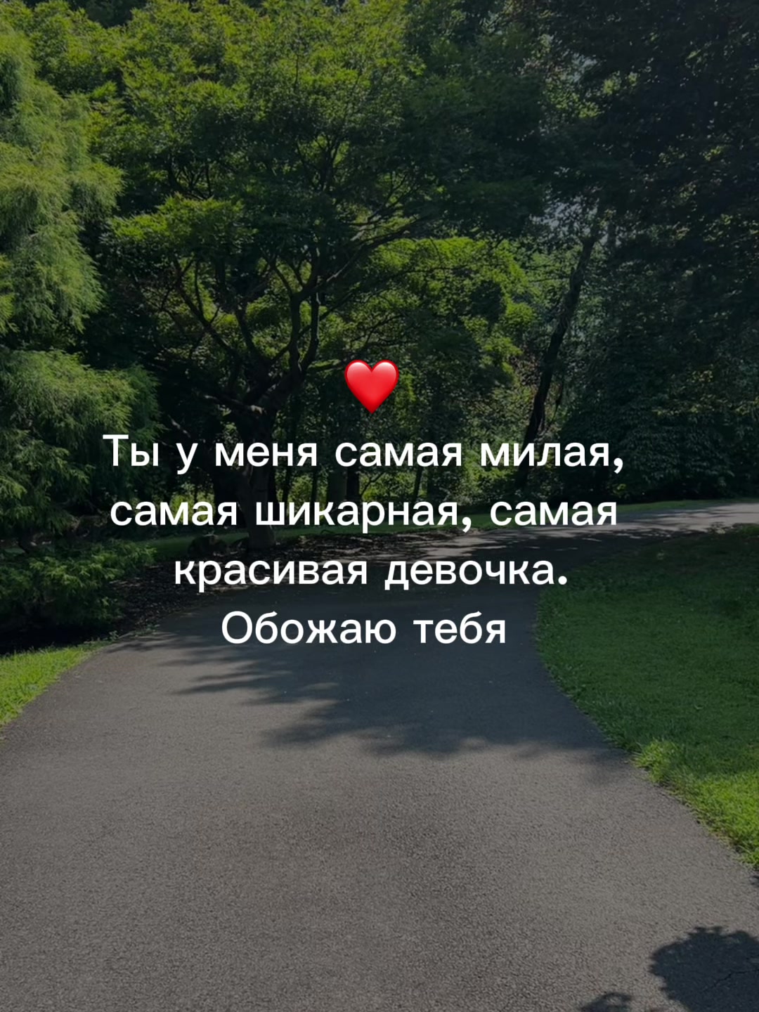 @muzdogz