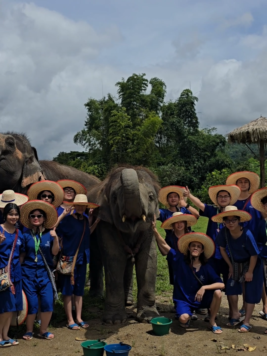 @ควาญแดง พลายภูพิงค์