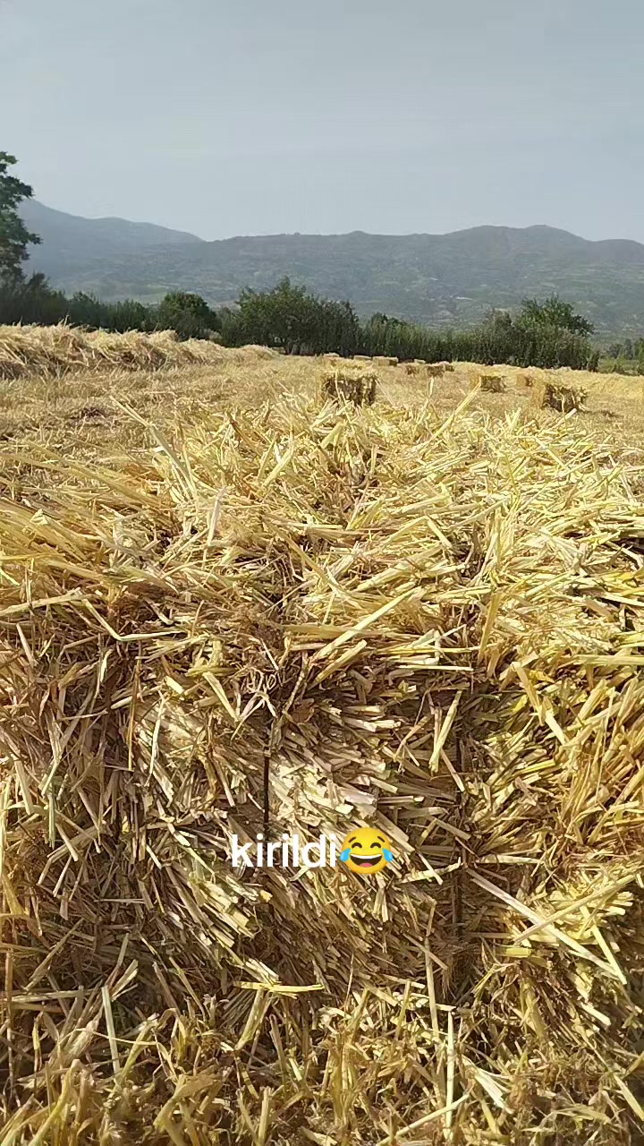 @Abdullah KaymakKAYMAK TARIM🚜