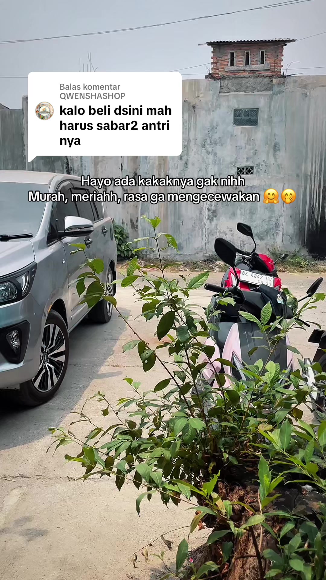 @mie_dampar