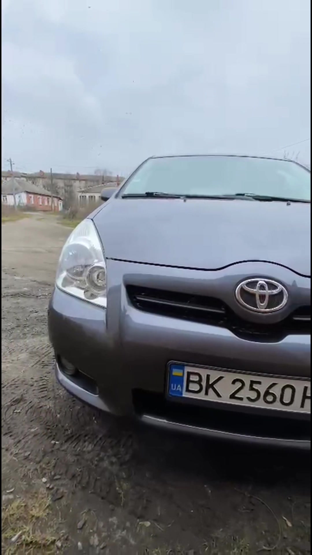 @Car Paint Звягель