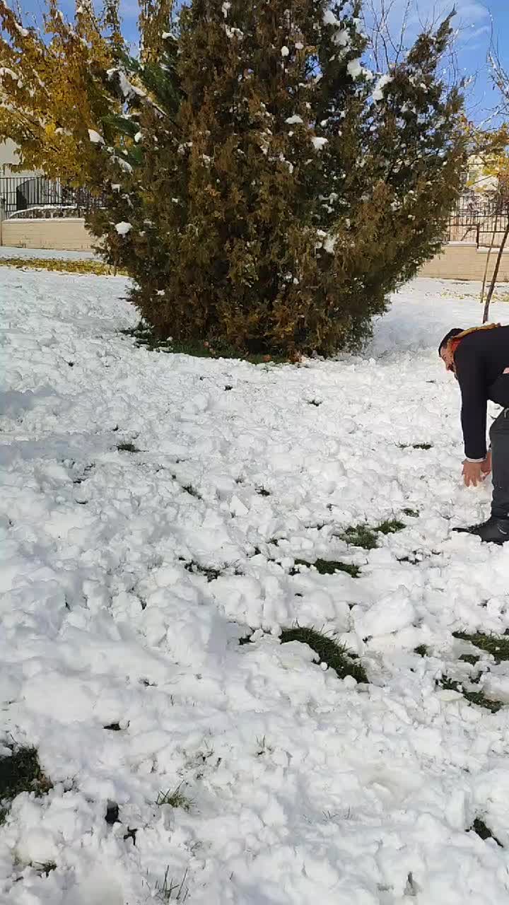 @Mehmet Karake&ccedil;ili