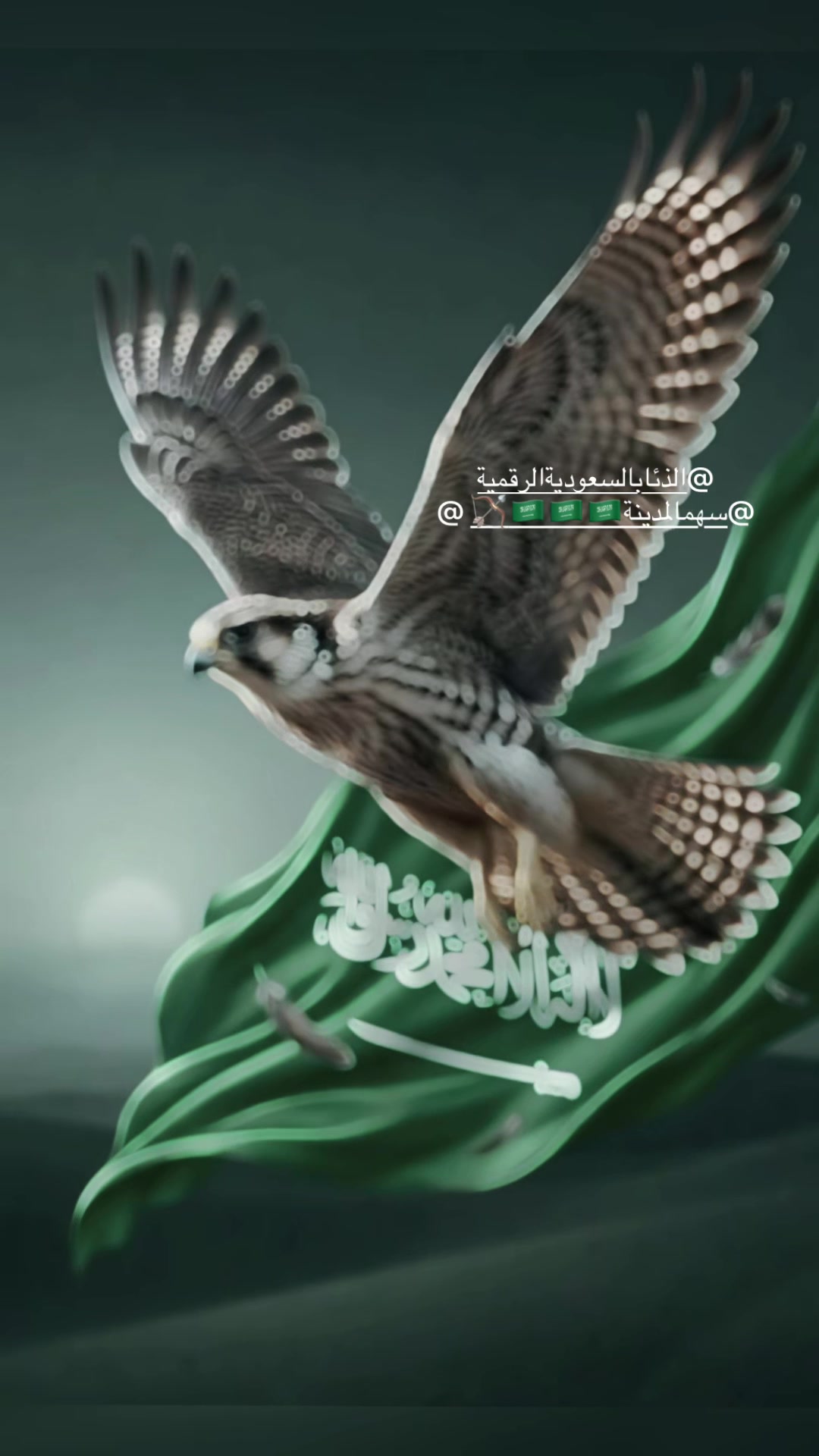 @سهم☆الفارسہ☆