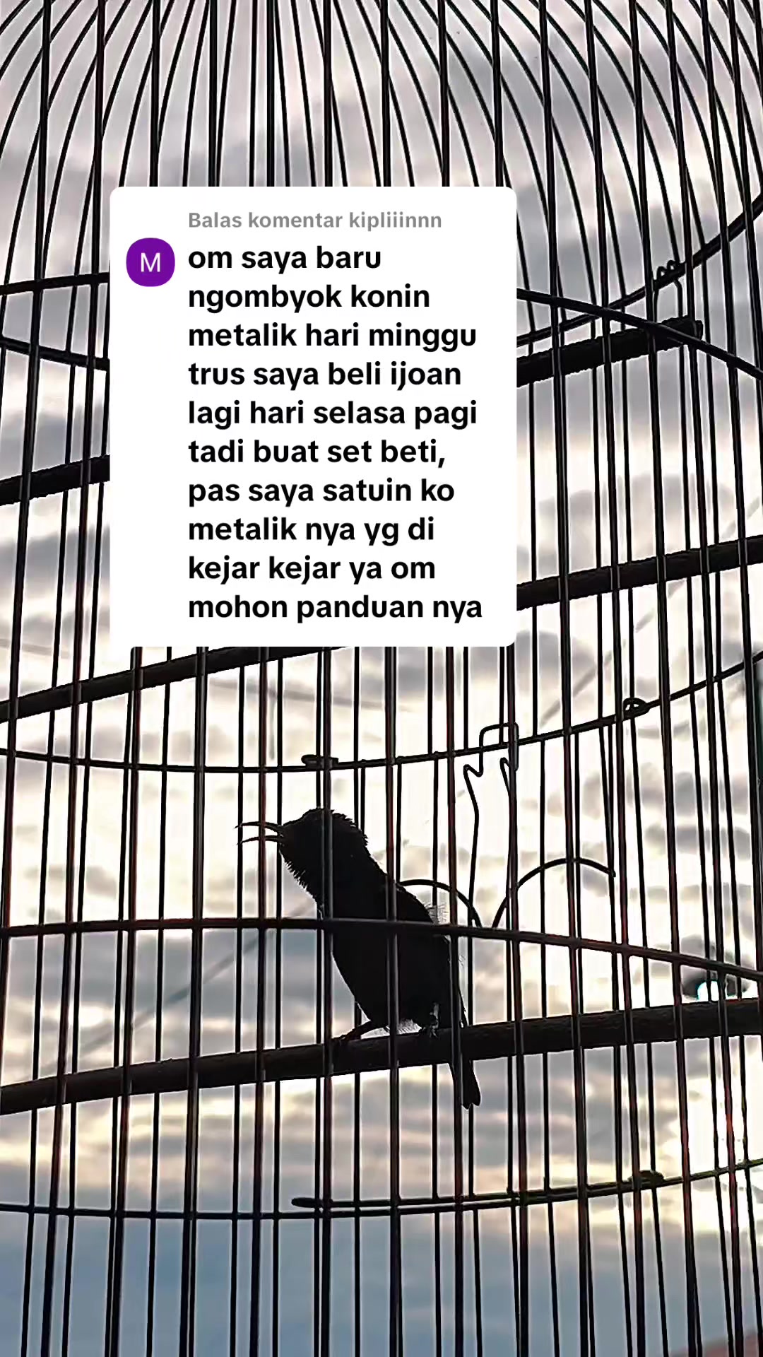 @banjarrayasquad
