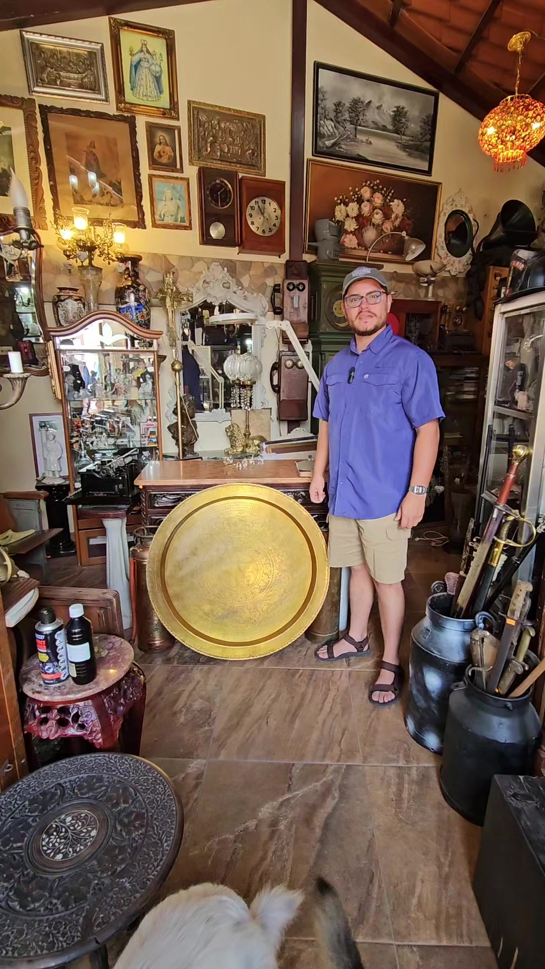 @ANTIG&Uuml;EDADES TAURO