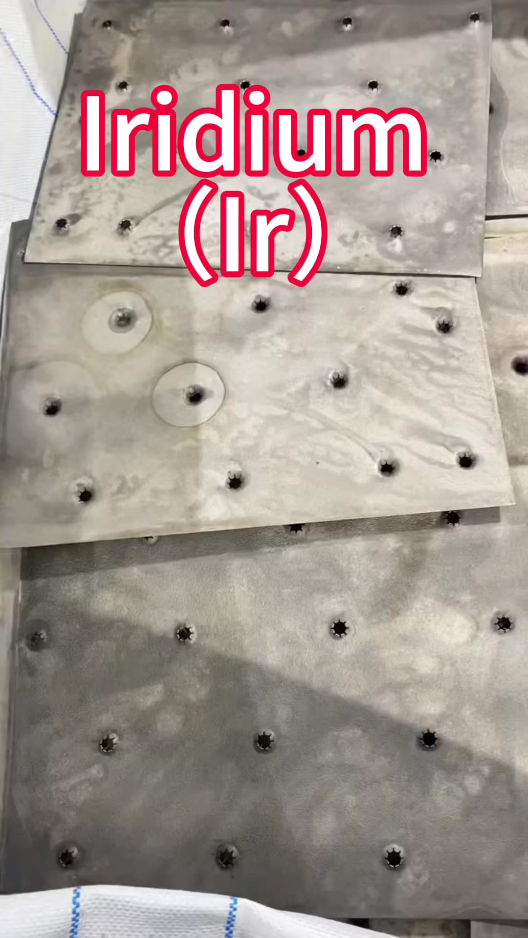 @宋阳
