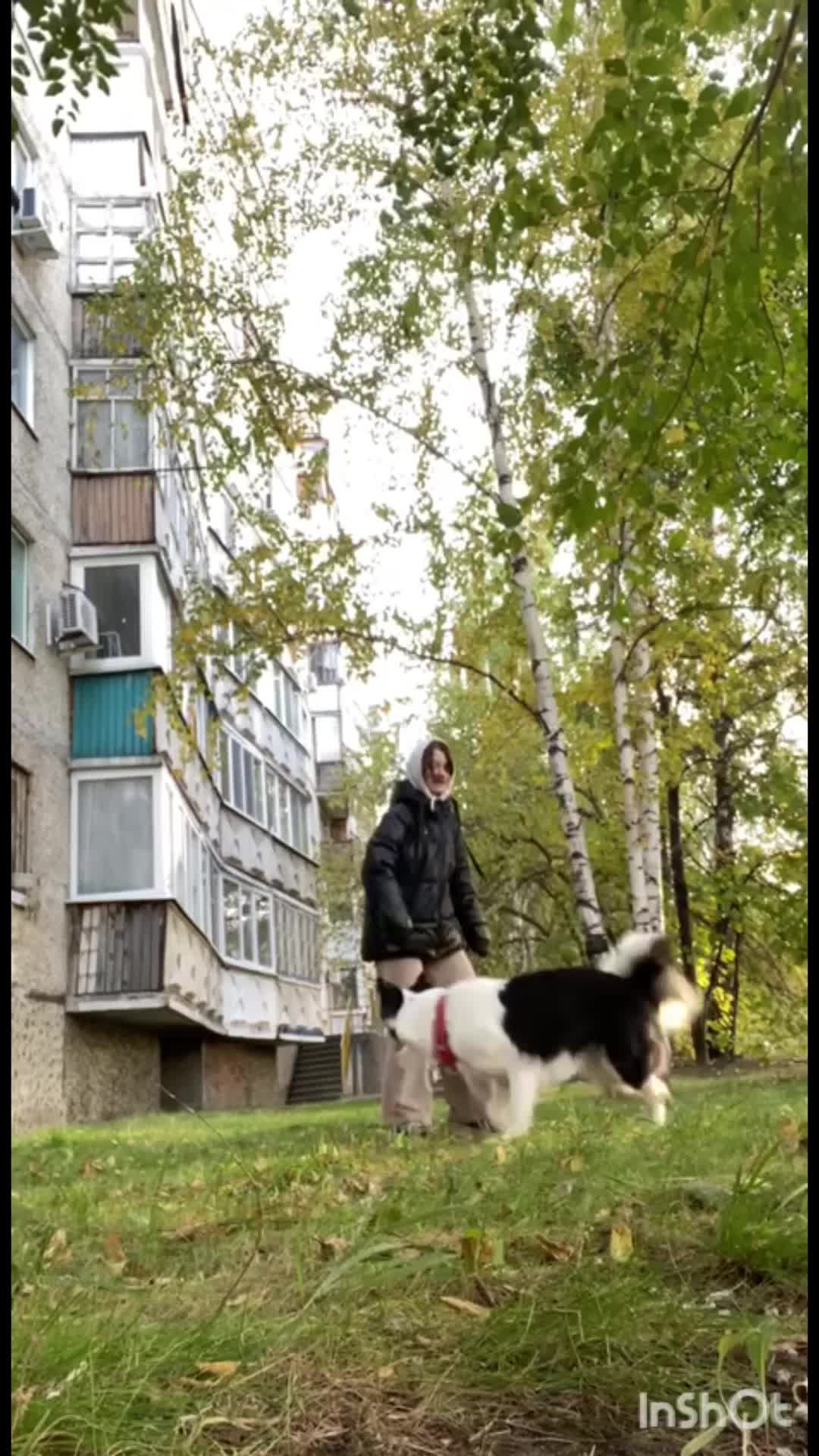 @Дизлайка