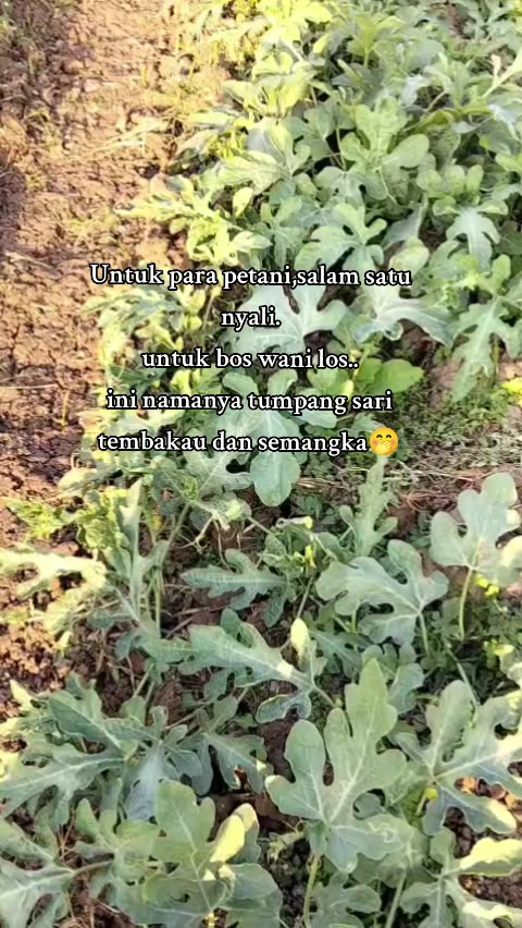 @R.RESTU๐ซถ๐ผ
