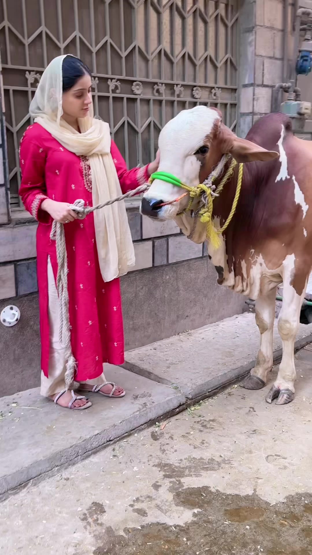 @Bismakanwal❤️