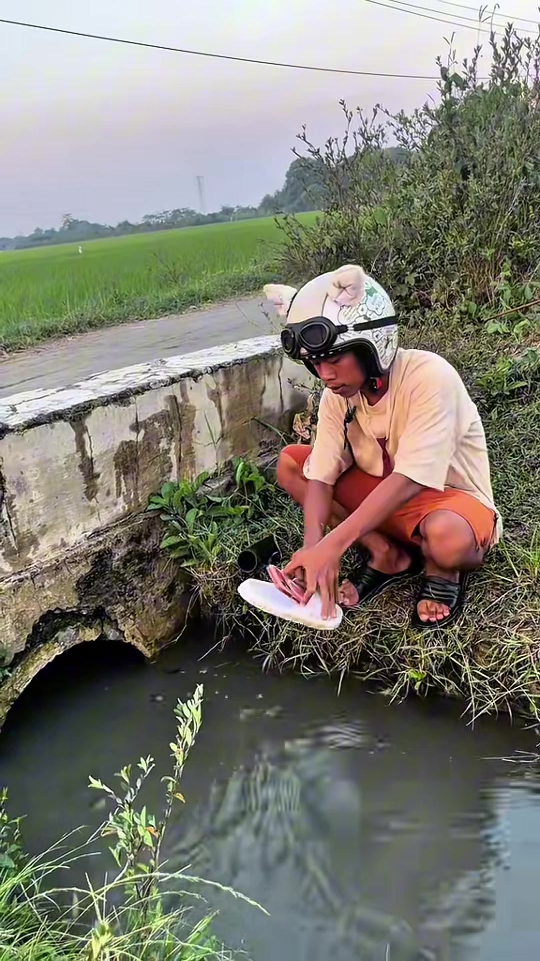 @ĐIỆN TỬ MINH-NGUYỄN