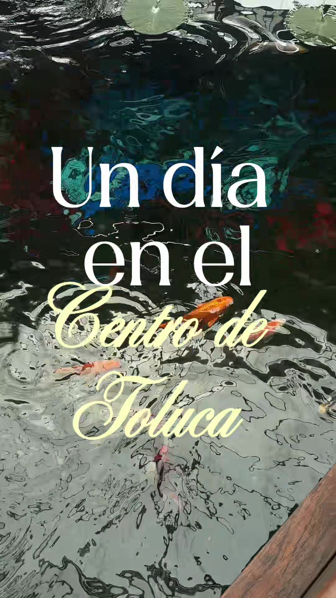 @A dónde ir 😎