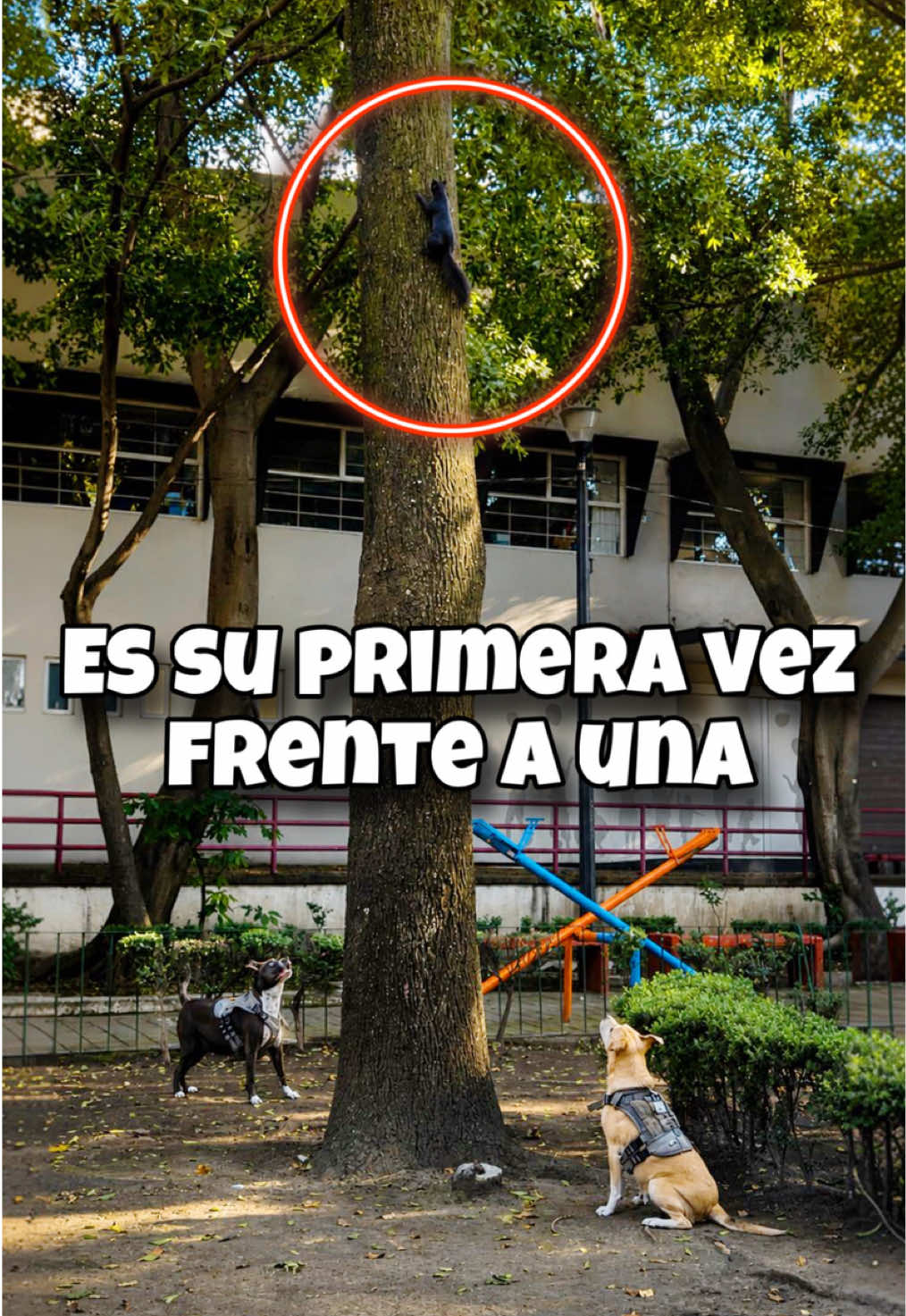 @Jorge en México