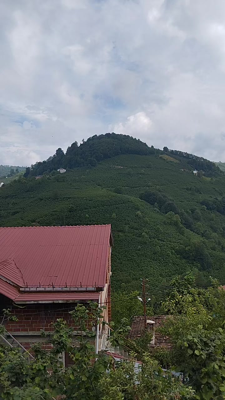 @YoNcA🍀🍀🍀