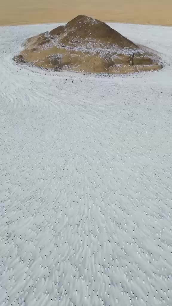 @55555555