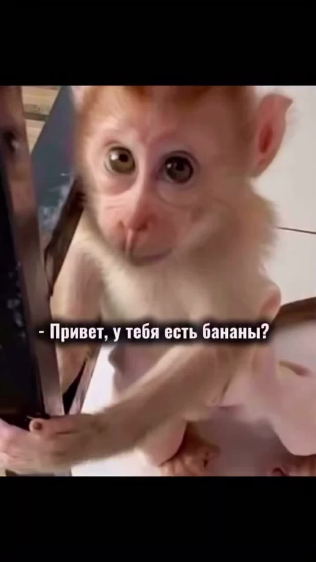 @๐จ๐๐๐๐๐
๐๐๐๐๐๐๐