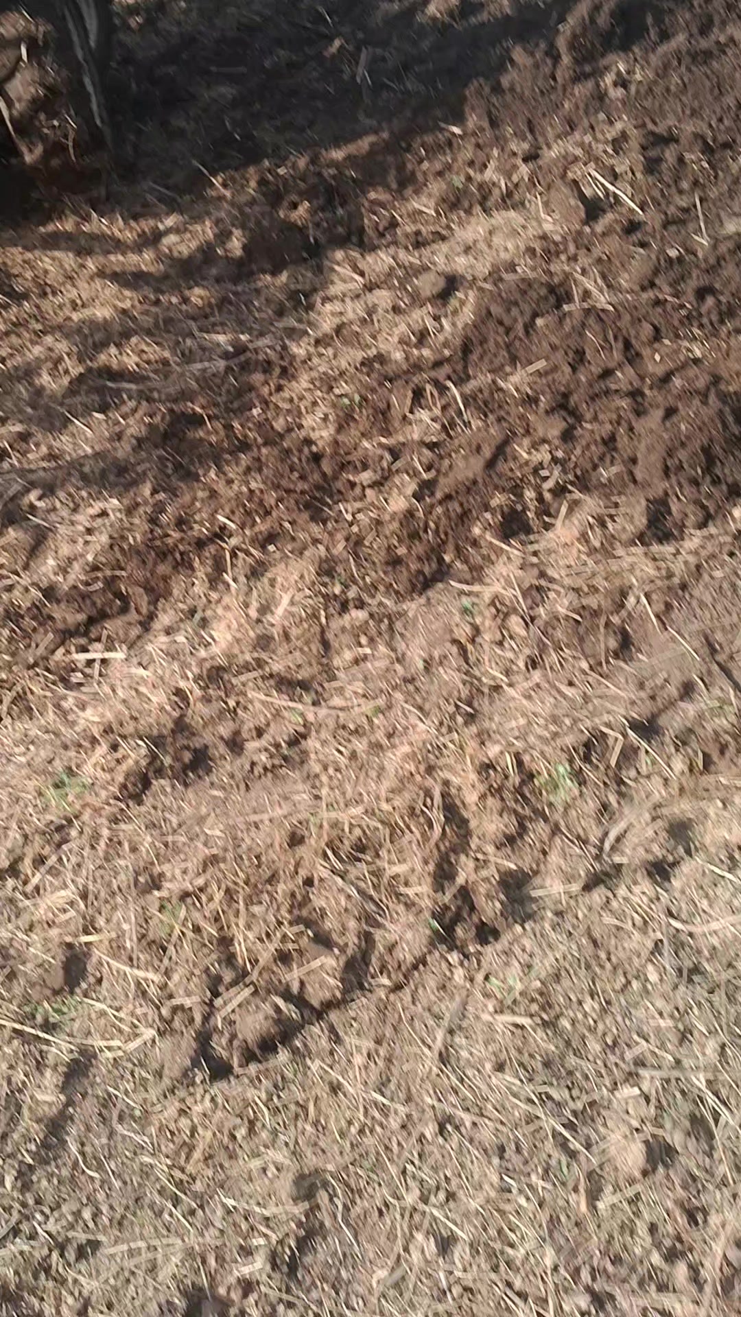@Rövşən 060çeşməli
