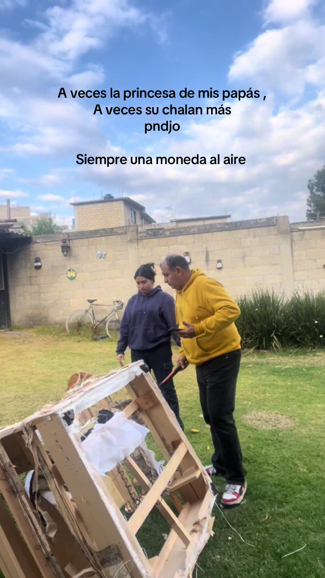 @aleesva