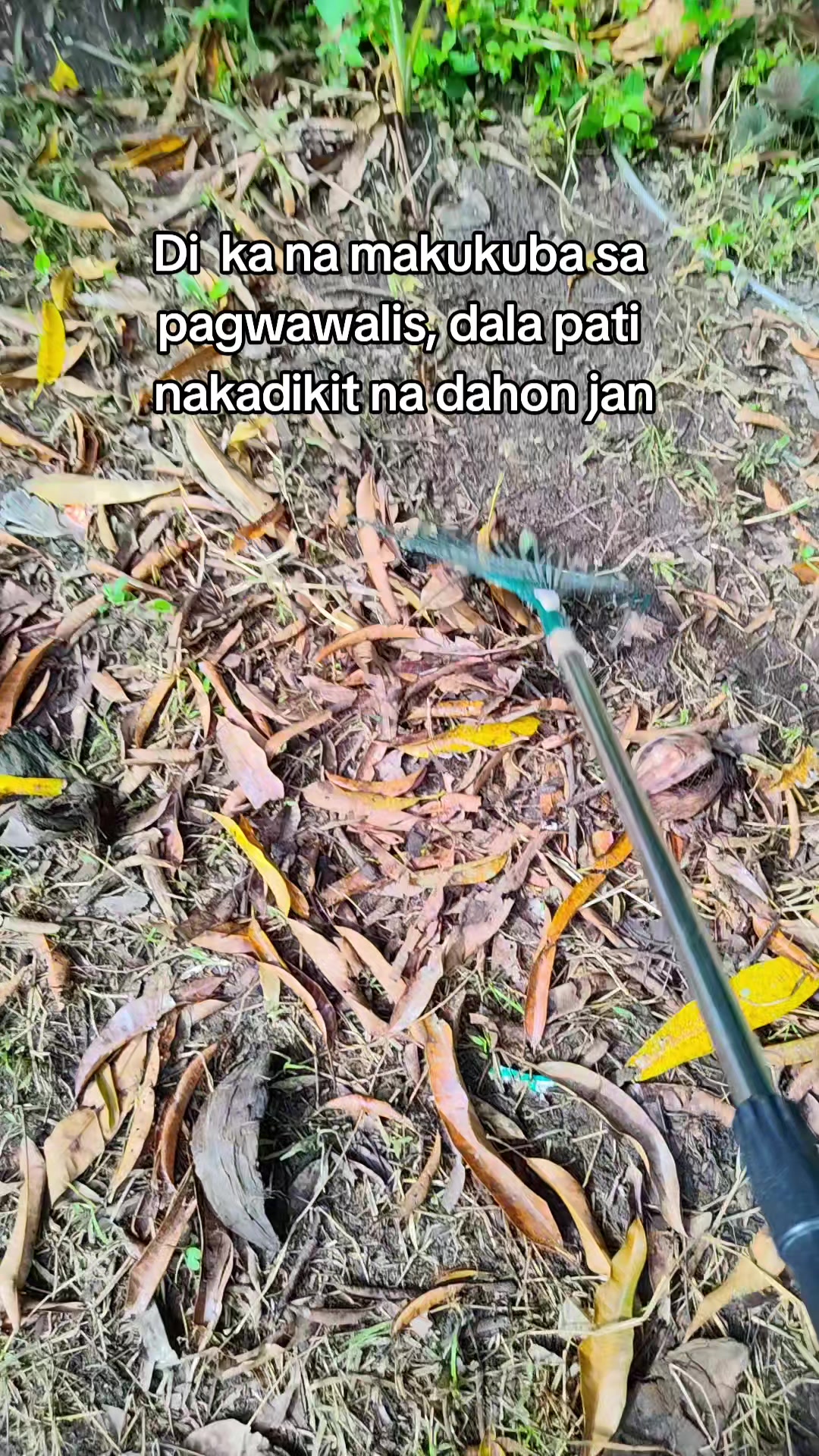 @🧿Jhofinds🍀