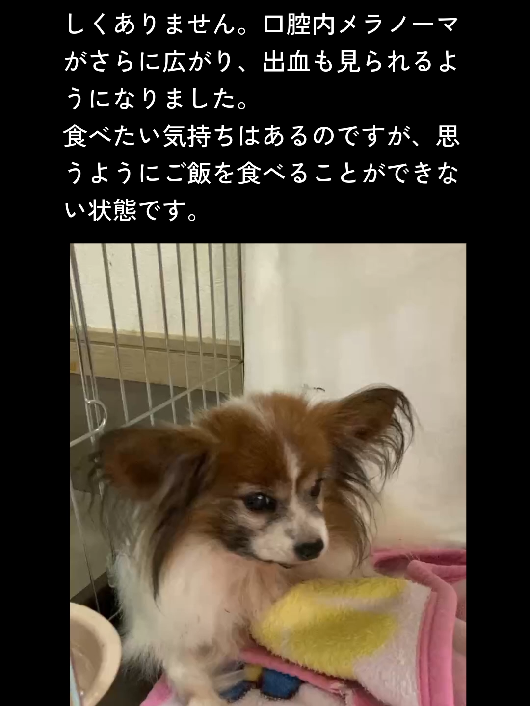 @NPO法人エターナル・ホーム