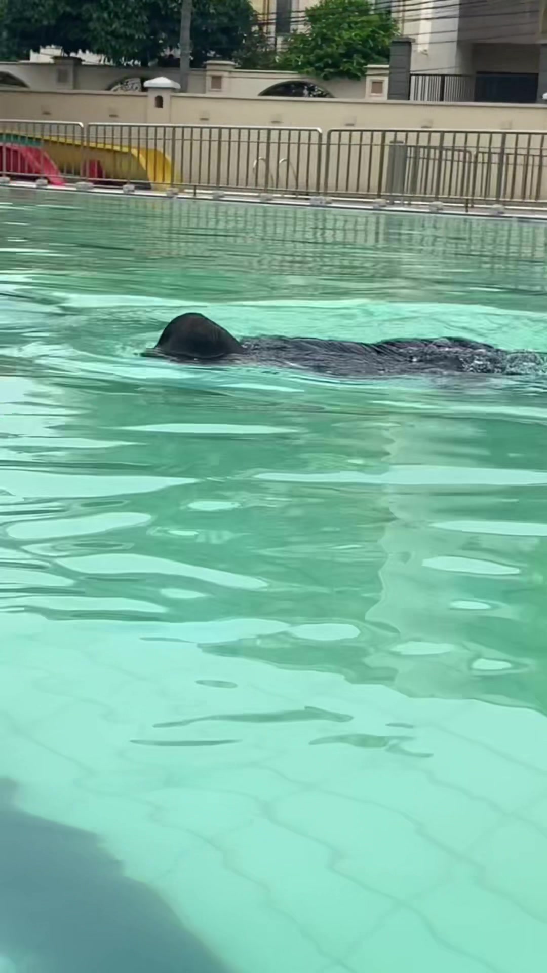 @Gasiela maribel Caylin