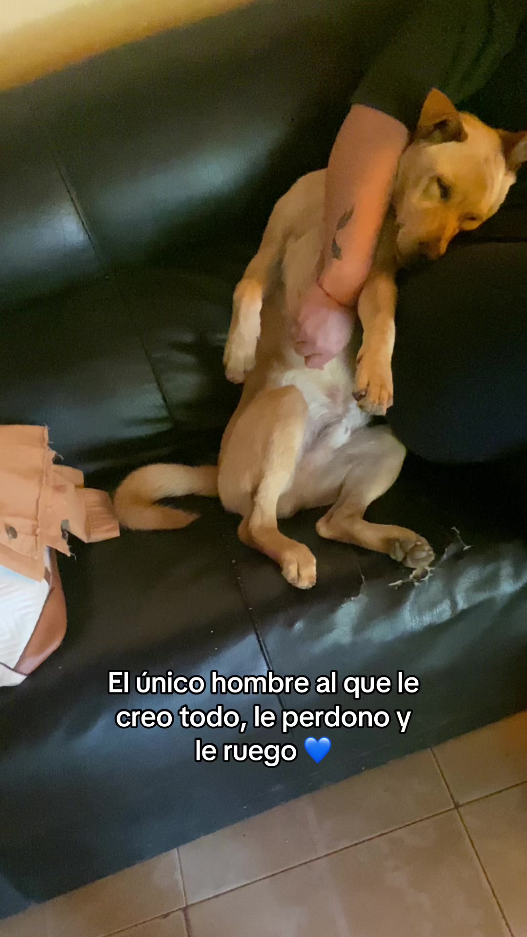 @Brii