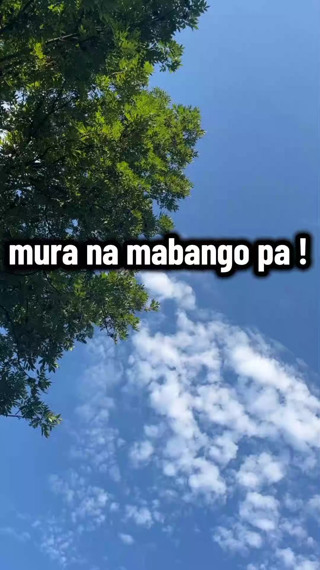 @joyie❤️
