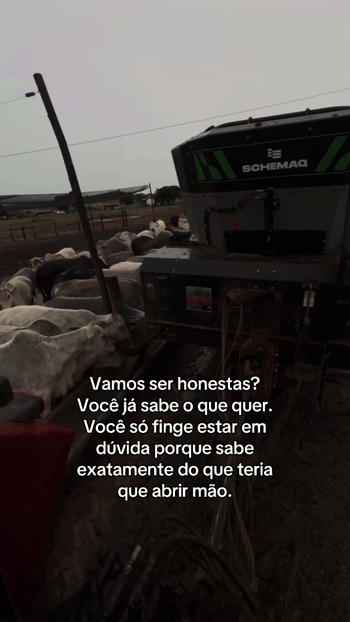 @ᗩᘉᗩ ᒍᑌ́ᒪIᗩ (reserva)