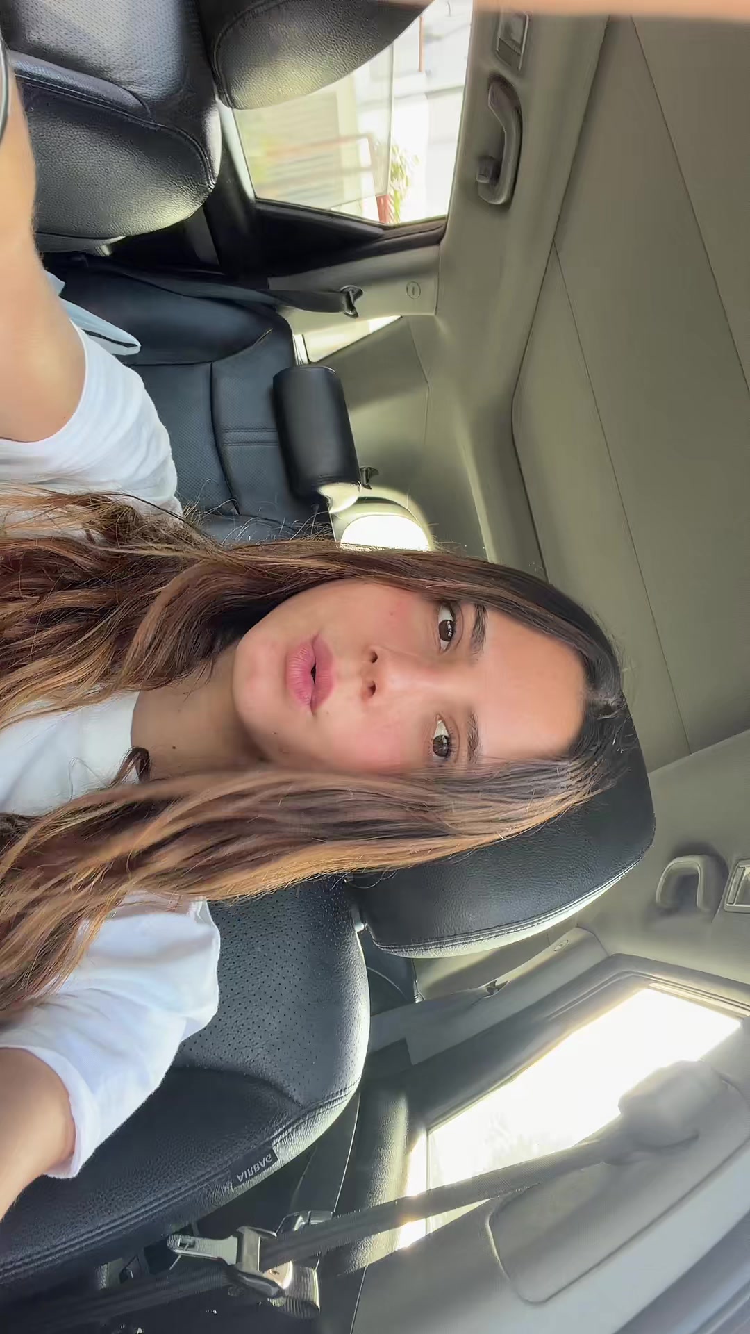 @domenica merediz