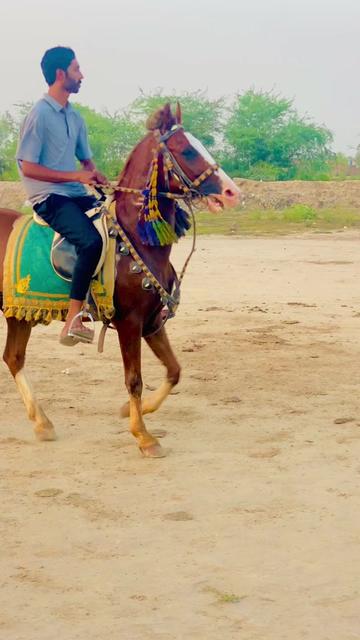 @Rai Usman