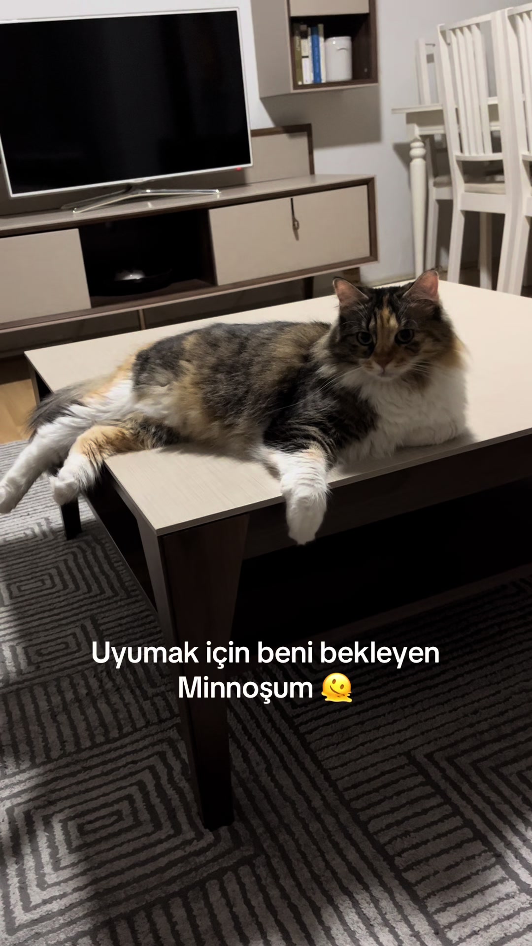 @konusankediminnos