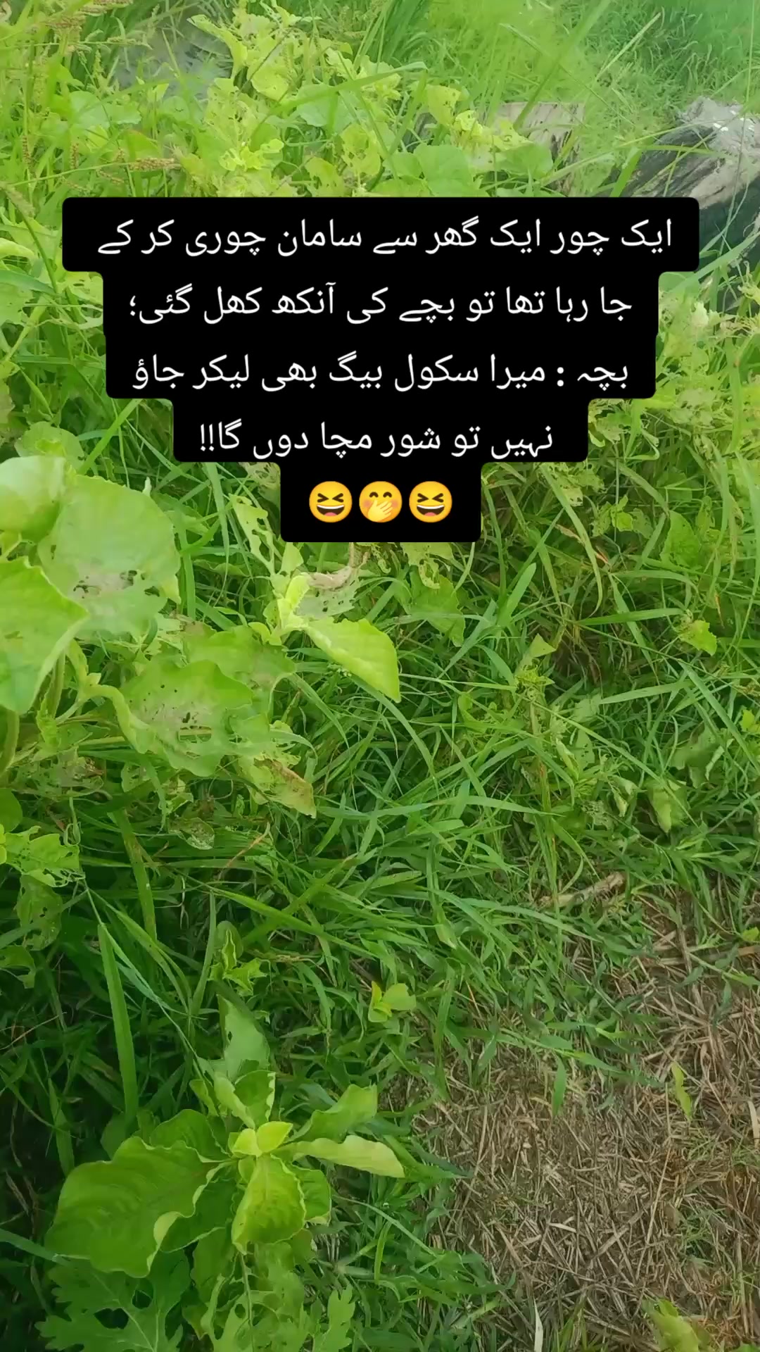 @═✶✦࿐Ɀ𝗶ᗪ𝚒✯᭄𝝝𝐣𝐣𝚒✦✶═