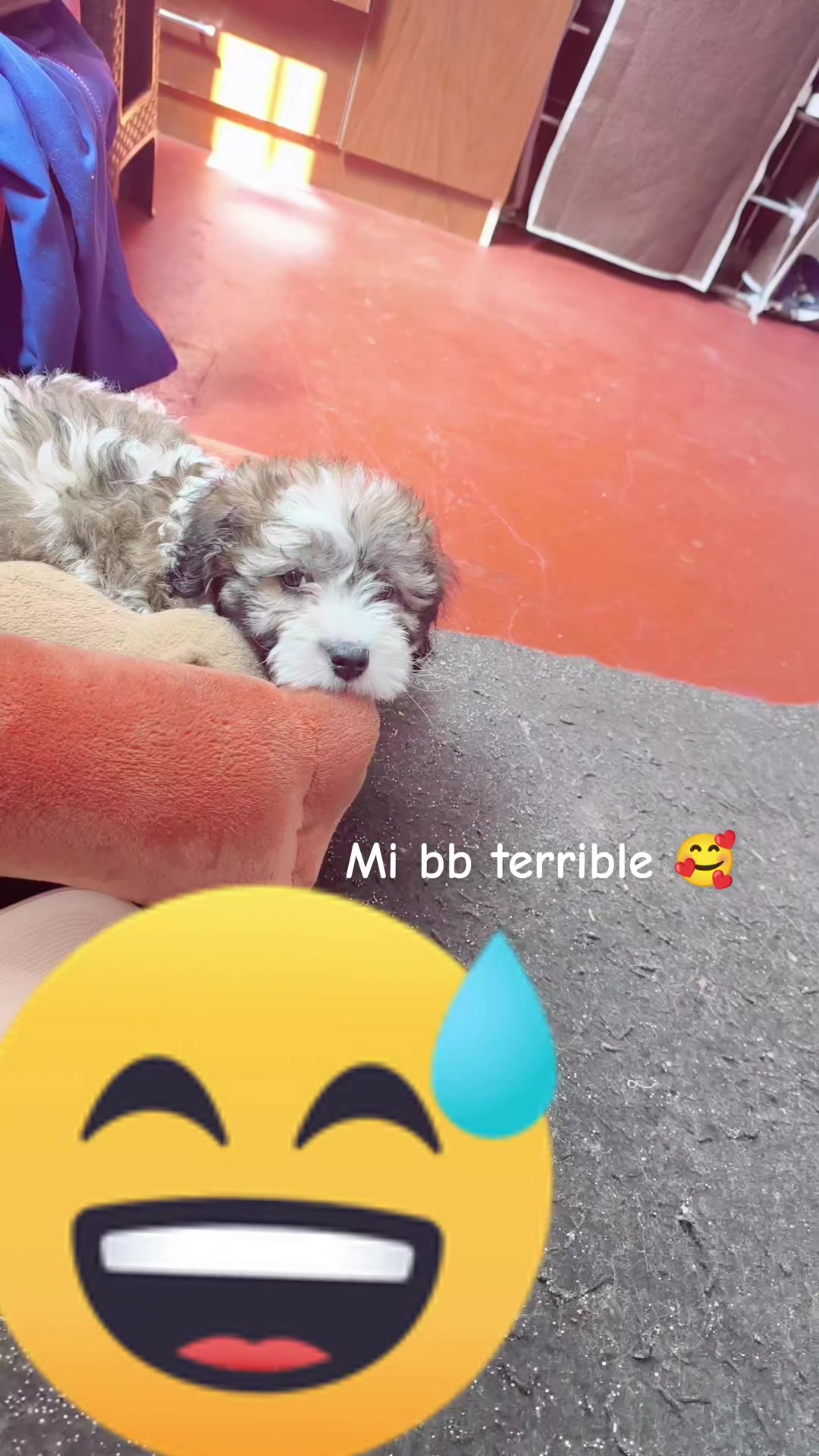 @Mia M/R👩⚕️💙