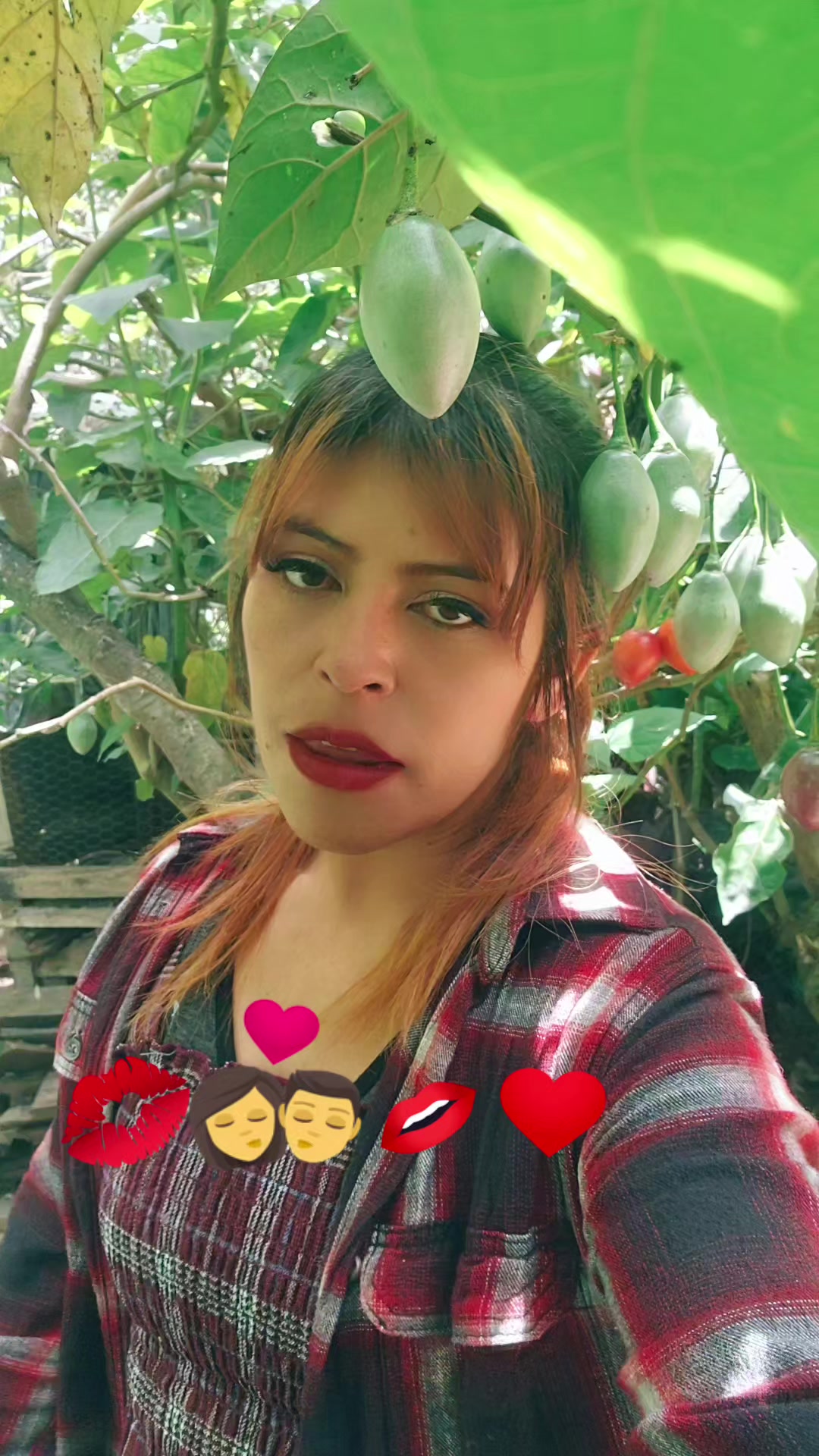@La Sirenita