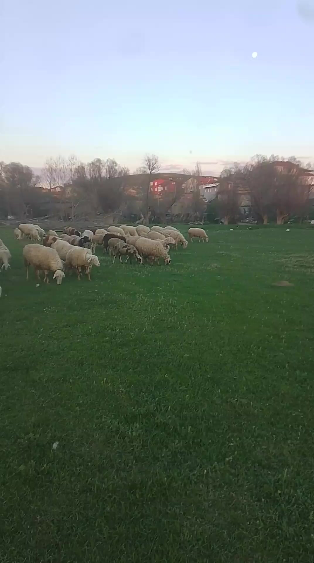 @kadir akduman03