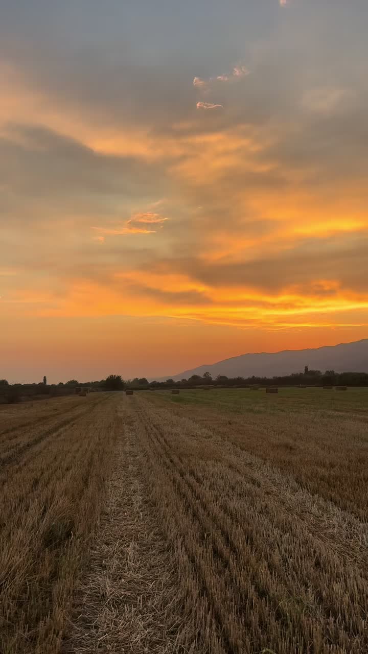 @Emin Doğan