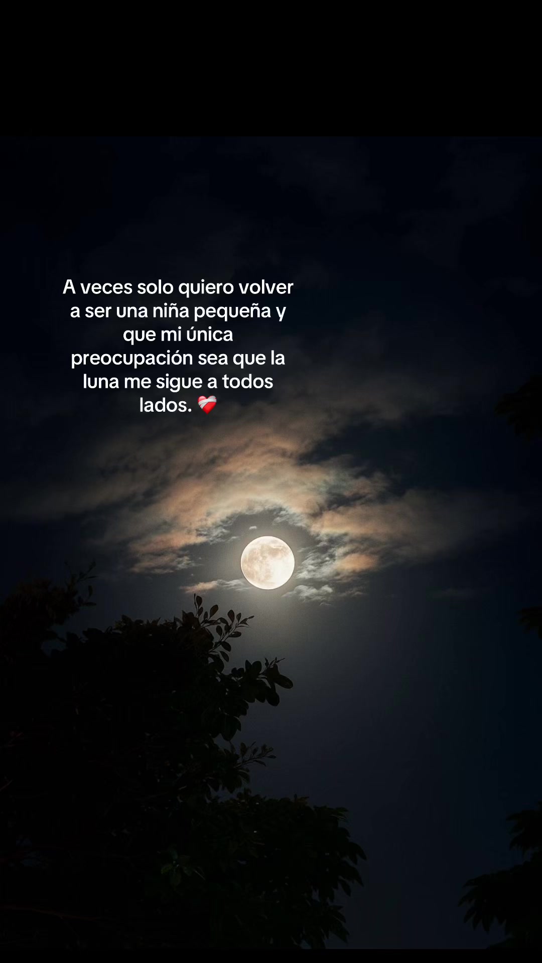 @Gisela Pérez