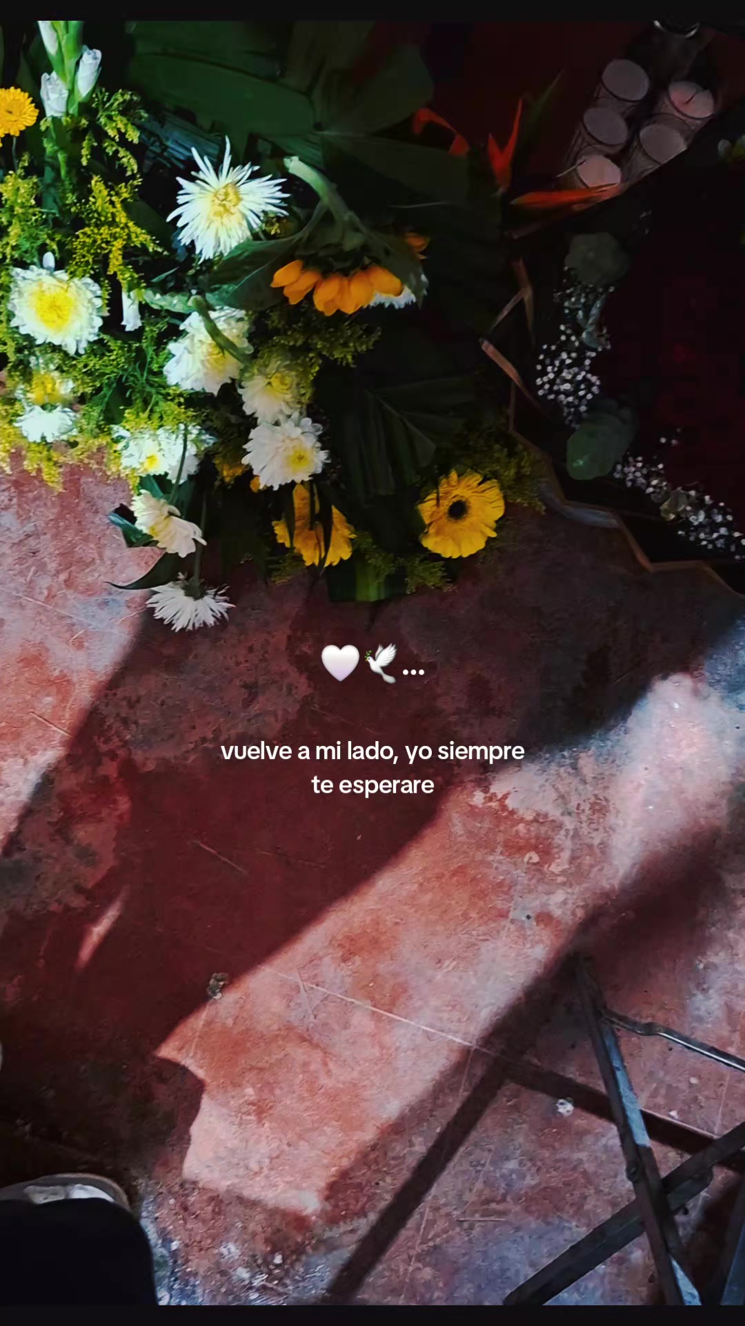 @Malupita_Vazquez♡