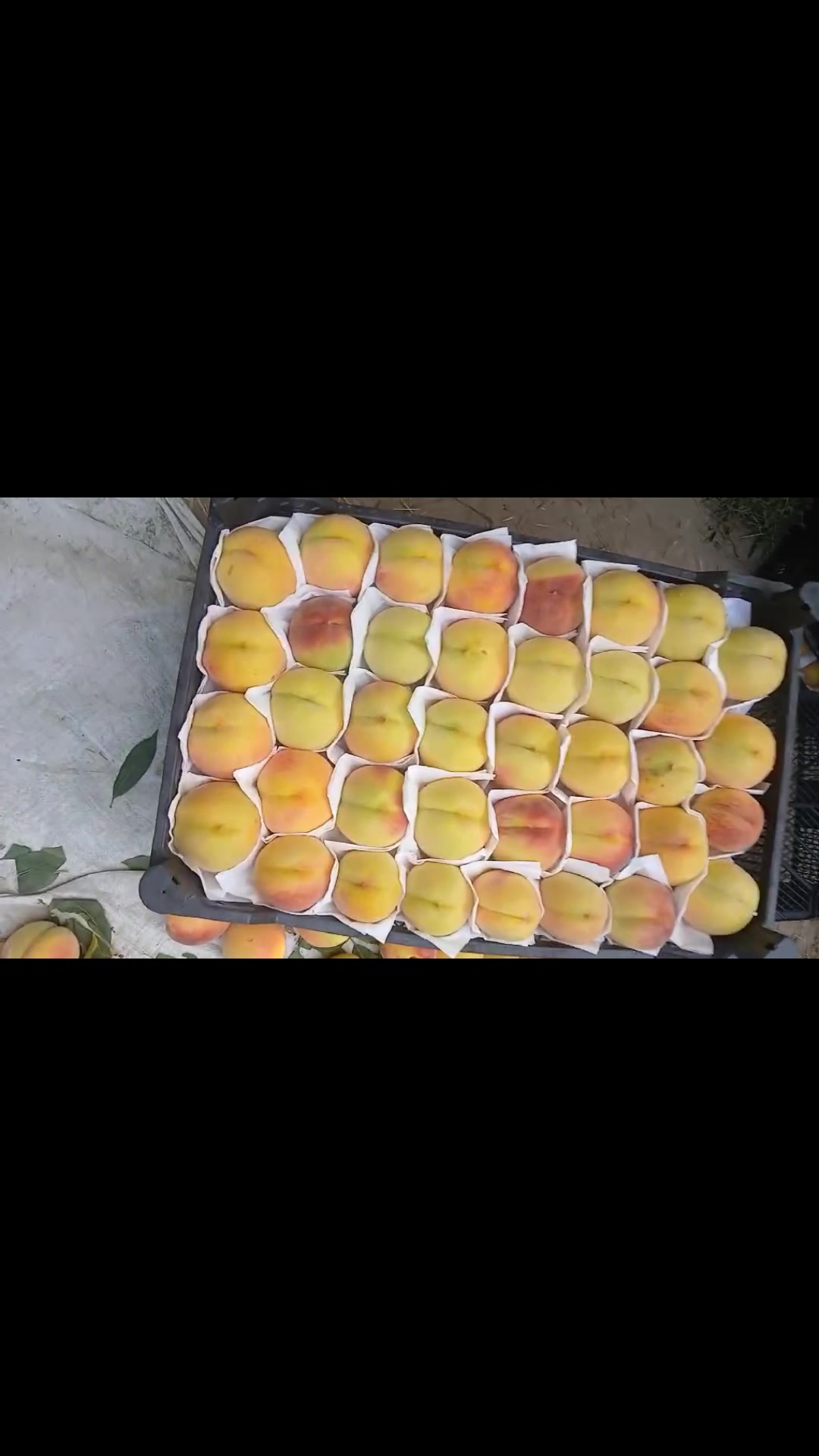 @pallet pack & load