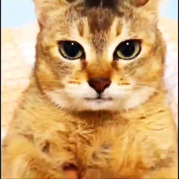 @𝐯ᵒ𝓲𝒹𝒹  ༽༽༽