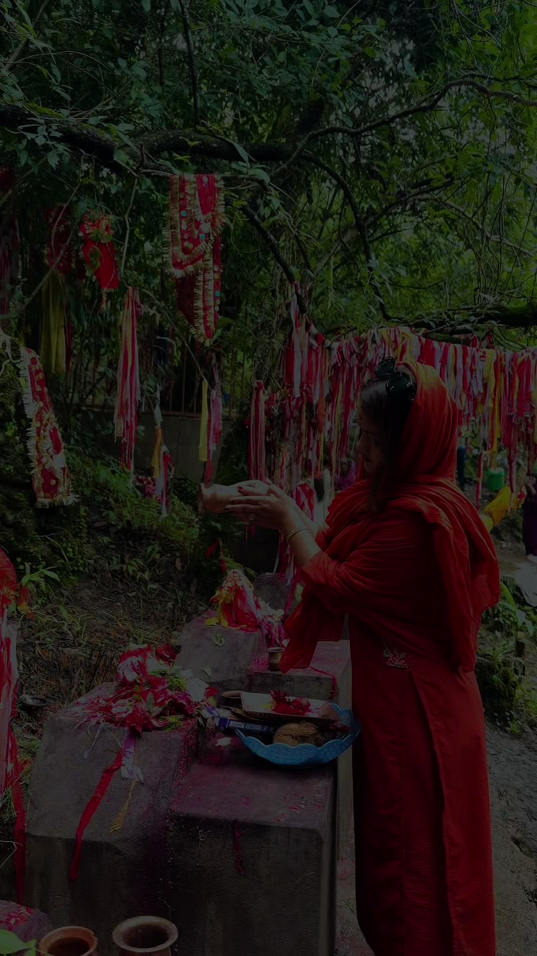 @Shandya Regmi🦚✨